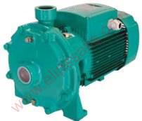 WP 207 T
